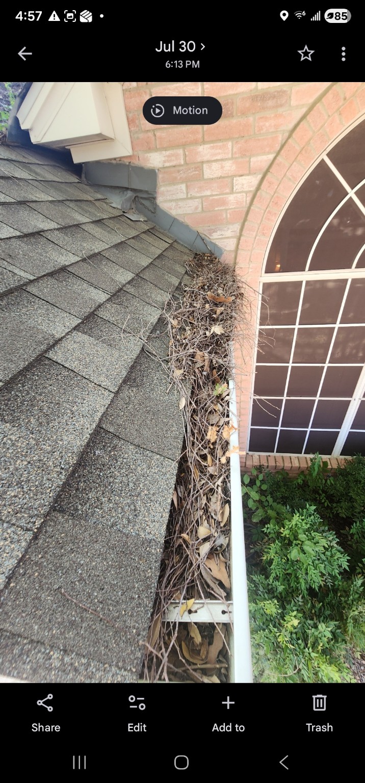 Debris buildup in a residential gutter